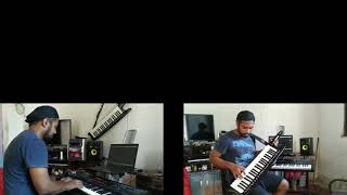 Tigresa  Caetano Veloso Cover [upl. by Gipson268]