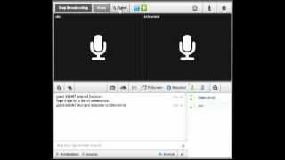 Tutorial Wie benutzt man den Voice Chat Tinychat [upl. by Yevre596]