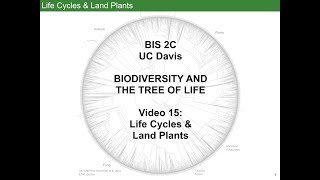 Life Cycles and Land Plants [upl. by Ayekel413]