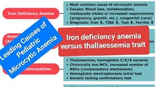 Leading Causes of Pediatric Microcytic Anemia [upl. by Hughes191]