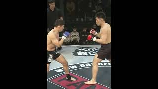 321 PANCRASE 326 ライト級 松本光史 Shorts [upl. by Chong]