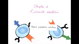 SVT1ère Spé T3BC2Immunité adaptative cellulaire [upl. by Ailadi210]