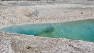 Turquoise Pool Midway Geyser Basin Yellowstone National Park USA [upl. by Perdita]