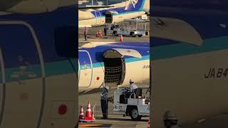 手荷物搭載終了、カーゴドア･クローズ！【15倍速】ANA WINGS Bombardier DHC8402Q Dash 8 大阪国際（伊丹）空港 Shorts [upl. by Alger]