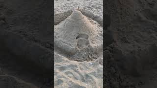 Sand Sculptures Artistic Wonders by the Beach  Shorts [upl. by Akcire]