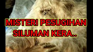 MISTERI PESUGIHAN KERA DI KOTA TULUNGAGUNG [upl. by Macpherson]