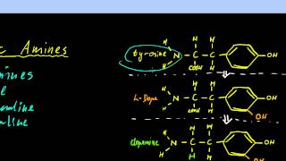 Part 11  Neurotransmitters and Neuromodulators [upl. by Adlihtam]