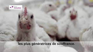 Clip de campagne du Parti animaliste pour les élections européennes de 2019 [upl. by Ranjiv]