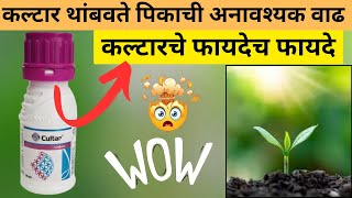 Syngenta Cultar Tonic  कलटार टॉनिक बद्दल संपूर्ण माहिती [upl. by Neffets]