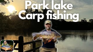 SUMMER CARP FISHING Overnighter on the Park lake [upl. by Tivad113]