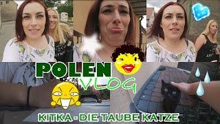 KITKA  DIE TAUBE KATZE 8 I POLEN VLOG 6 [upl. by Namie]