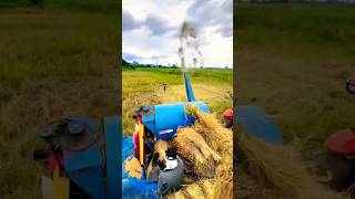 amazing thresher machines 😱😱 shorts thresher agriculture [upl. by Neirad]