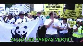 ALLEZ LES PANDAS VERTS [upl. by Mathi329]