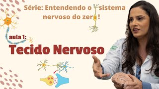 Entenda o sistema nervoso DO ZERO Aula 1  Tecido Nervoso [upl. by Libenson]