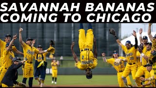 Savannah Banana Coming to Chicago On World Tour 2025 [upl. by Nairod445]