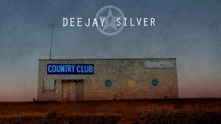 Dixieland Delight  Dee Jay Silver Remix [upl. by Ecirtak]