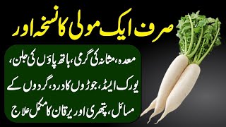 Radish Benefits Moli K Fayde For Uric Acid Kidney Weight Loss And Diabetes Treatment Urdu Hindi [upl. by Reade166]