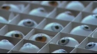 The Glass Eye Maker  Jost Haas Documentary [upl. by Eninahs]