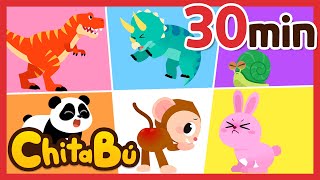 30 min de Dinosaurios y Animales  Van al Baño  Canciones Infantiles  ChitaBú [upl. by Garner]