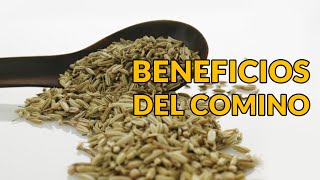 Beneficios del Comino [upl. by Fortunna]