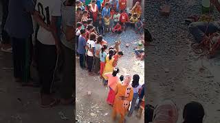 Bandar Wale aaye  shorts viralvideo shortvideo [upl. by Adai]