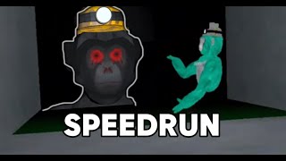 BIG SCARY SPEEDRUN IN GAMER MODE 114 [upl. by Bradeord456]