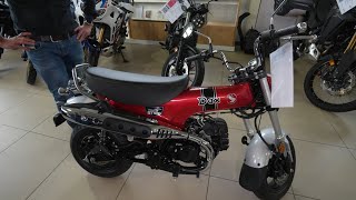 Wohnmobil Motorrad 2024 Die kleinste 125er der Welt Honda Dax 125 2024 Ohne Motorrad FS fahren [upl. by Yotal98]