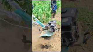 Power weeder working on field agriculture trending shorts trendingshortvideo reels viralvideo [upl. by Attiuqaj]