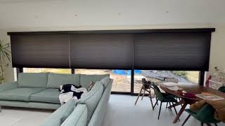 Lex Blinds  Pleated Blinds I How to control blinds with one click [upl. by Teik]