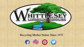 Who is Whittlesey [upl. by Bentlee]