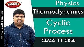 Cyclic Process  Thermodynamics  Physics  Class 11  CBSE [upl. by Kirat]