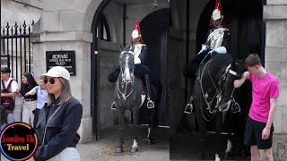 Meet The Royal Horse Guards 🤴🏼 [upl. by Gianina]