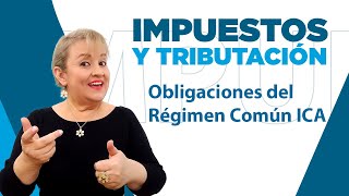 289 Obligaciones del Régimen Común ICA [upl. by Ayel]