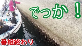 堤防の外側から釣りをするだけで461話目 [upl. by Lundeen]