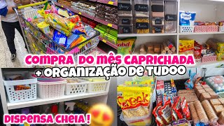 COMPRAS DO MÊS  ORGANIZANDO A COMPRA DO MÊS NO ARMÁRIO  TUDO EM ORGANIZADORES  ASMR 😍 [upl. by Calandra]