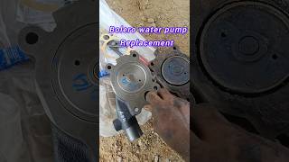 Bolero water pump replacement shorts ytshorts automobile mechanic trending viralvideo bolero [upl. by Ayotaj]