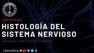 Histología del Sistema Nervioso [upl. by Nylarahs]