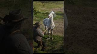 Appaloosa Few Spotted Location in rdr2 shorts rdr2 spdxstreamgaming rdr2guide [upl. by Evonne]