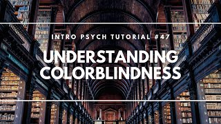 Understanding Colorblindness Intro Psych Tutorial 47 [upl. by Atinauj128]