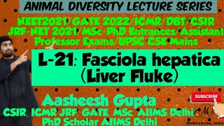 L21 Fasciola hepatica Liver Fluke  Lifecycle amp Metacercaria Larva  ICMR JRF CSIR JRF amp NEET [upl. by Wendi59]