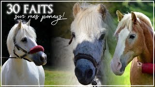 30 FAITS SUR MES PONEYS 🐴✨ [upl. by Hescock350]