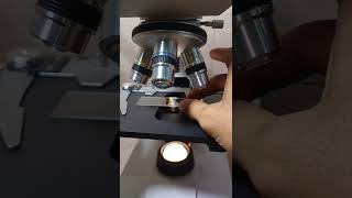 Lumut tembok ternyata experiment reels microscope funny smartphone football [upl. by Nareik]