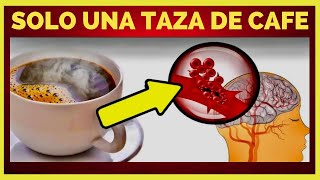 ¿Qué Propiedades y Beneficios tiene Tomar el Café Negro Mira Qué Sucede [upl. by Noe]