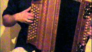 Diatonische Harmonika  Jochberger Polka [upl. by Kcim]