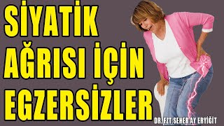 SİYATİK AĞRISI EGZERSİZLERİ aktifizyo belağrısı fiziktedavi siyatik [upl. by Dich]