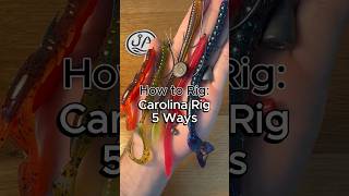 5 Ways to Rig a Carolina Rig fishing fishingtips howto bassfishing largemouthbass [upl. by Eenej880]