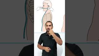 Procedure Nasogastric  NG Tube  Fundamental of Nursing  Testpaperlive shorts ngtube nursing [upl. by Itnahsa]