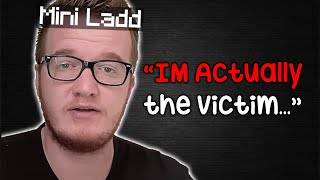 Mini Ladd Is Back And Its Sad [upl. by Oicneconi]