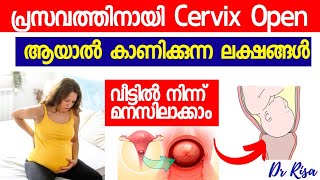 Cervix Open Symptoms Malayalam  Last Month Of Pregnancy Symptoms [upl. by Eimmat]