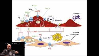 Anticoagulation amp Bleeding in the ECMO Patient [upl. by Lokin]